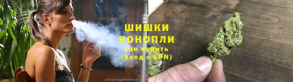 сатива Надым