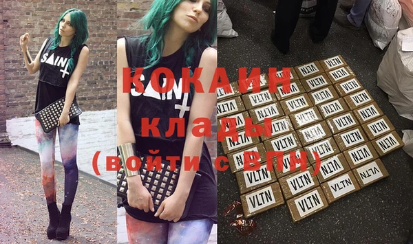 гашик Заречный