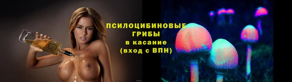 дживик Навашино