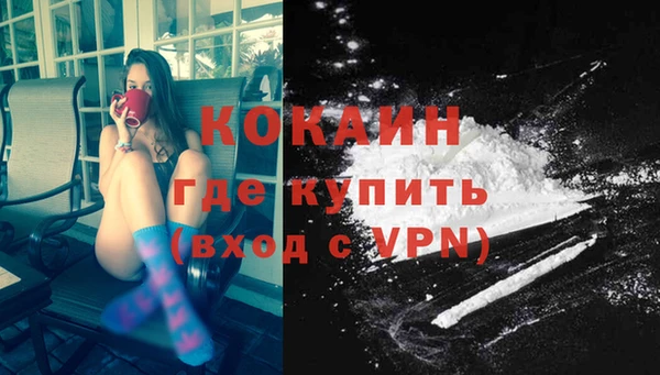 сатива Надым
