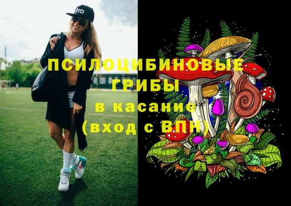 дживик Навашино