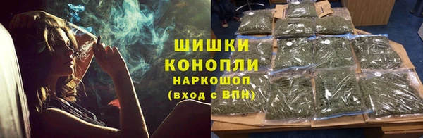 сатива Надым