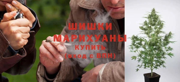 apvp Нея