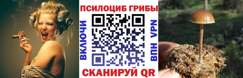 Галлюциногенные грибы Magic Shrooms  Инта 