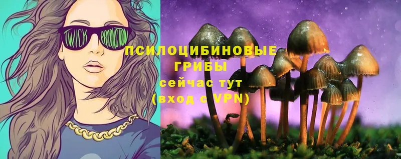 Галлюциногенные грибы Psilocybine cubensis  Инта 